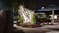 Gardens at Night-26.jpg